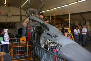 080IMG_8633