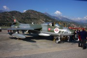100IMG_8718