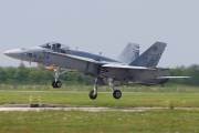 f019IMG_4646