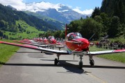 262IMG_8177