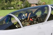 294IMG_7253