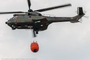 341IMG_5155