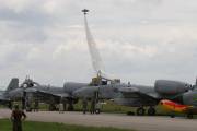 11IMG_6917