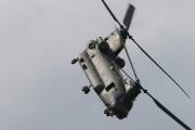 20IMG_7811