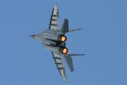 220IMG_8863
