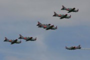 320IMG_9409