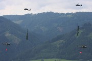 390IMG_9658