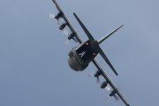 460IMG_0799