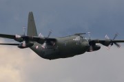 460IMG_0807