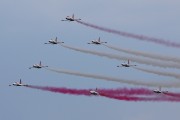 500IMG_0861