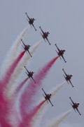 500IMG_0881