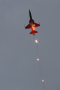 660IMG_0254