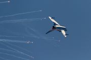 032IMG_3501