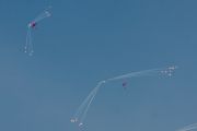065IMG_3616