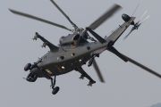 080IMG_4775