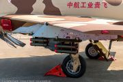 262IMG_8537