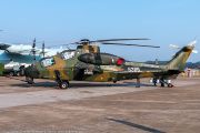 548IMG_8886