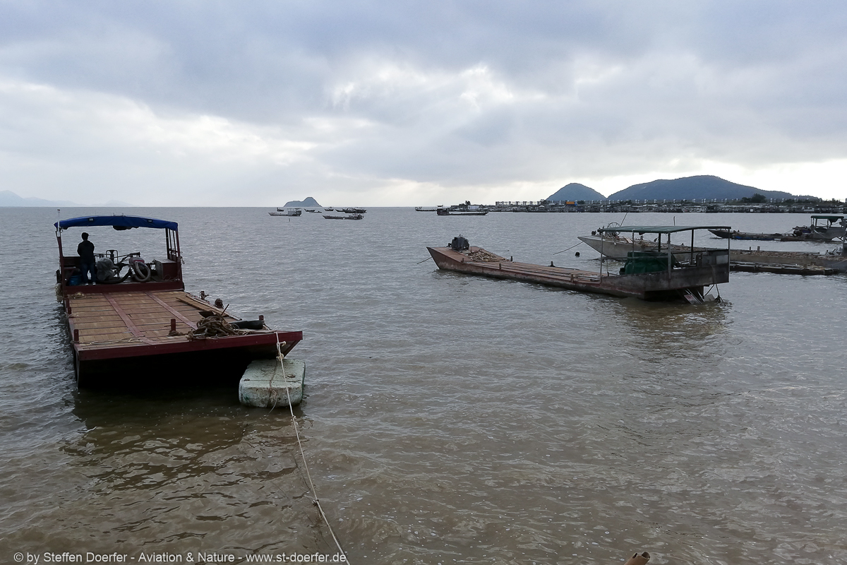 542IMG_20181106_074624