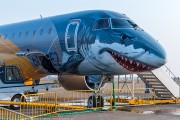 495IMG_6702